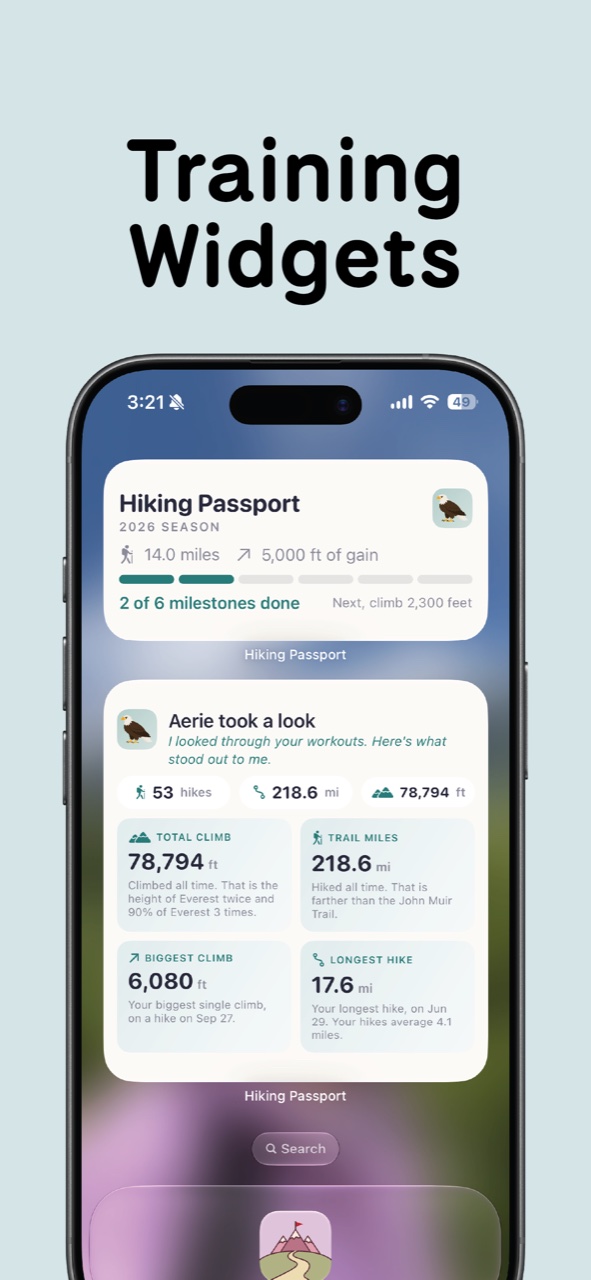 Training widgets. Home Screen widgets showing the season, milestones done, and the insights your buddy pulled out.